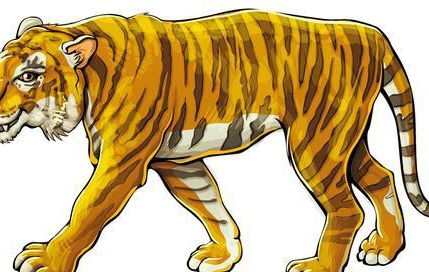 将巨大少年属什么生肖？潜力巨大的生肖男指的是哪种动物？