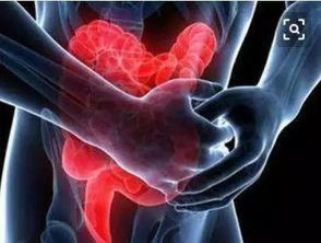 2.1 男性体毛与生殖及气血运行关系探讨