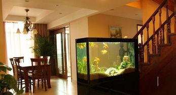 大厅摆放药品合适吗？从风水角度有讲究吗？