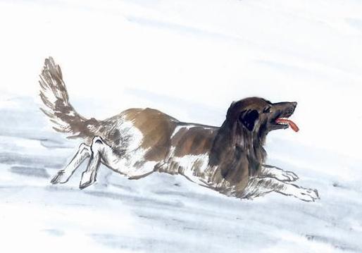 2026年属狗男性财运和婚姻运势具体解析是什么？