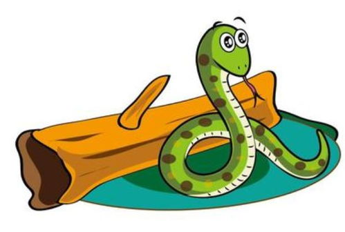 生肖蛇的神秘智慧：对未知世界的好奇与自我成长