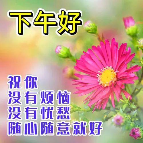 一、  风水助力，筑梦启航
