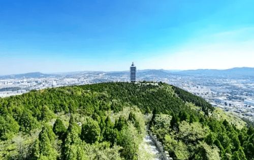 3.2 较小众场域的静谧实际价值
