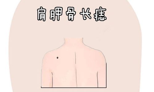 耳垂缀福，寿禄绵长