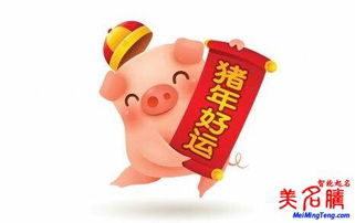 2024猪年姓张的宝宝取名字，有哪些必知要点才能获得绝世好名？