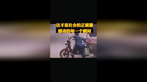 生肖元素的能量动员：个体特质的彰显与内在力量的激发