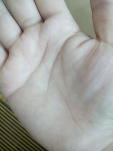 如何通过美女手相图片来判断女生手相是否美丽？