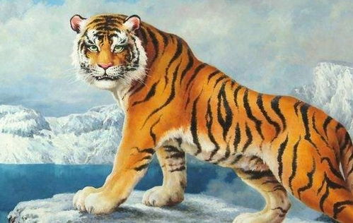 属虎人2026年运势如何，是不是意味着这一年运势会很差？