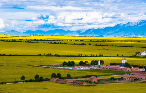 青海门源这破地方到底值不值得去？看完这篇你就知道了！