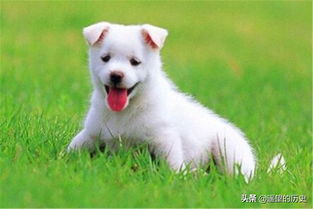 ：民俗语境下的生命周期认知