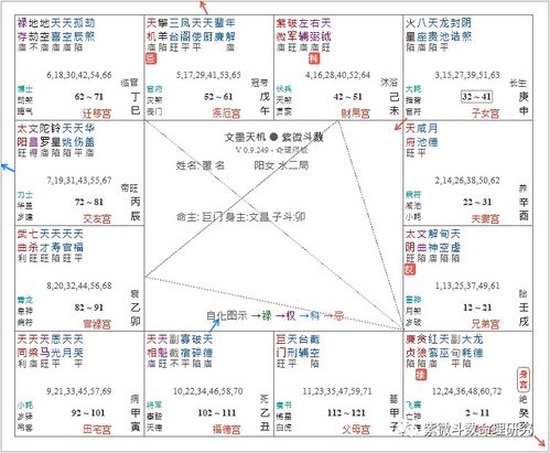 基础理论框架：桃花星的定义与分类逻辑