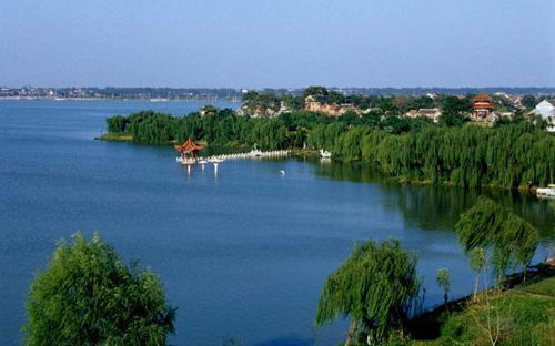 龙湖？就是个养鱼塘吧！