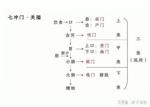 二、从更较深层次的解读——对“类象”和“性格”的细致剖析