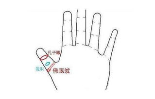 三、佛眼纹数量更多寡有没有决定个人命运？——理论探讨