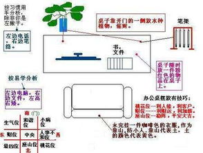 二、方位与五行对应的植物选择