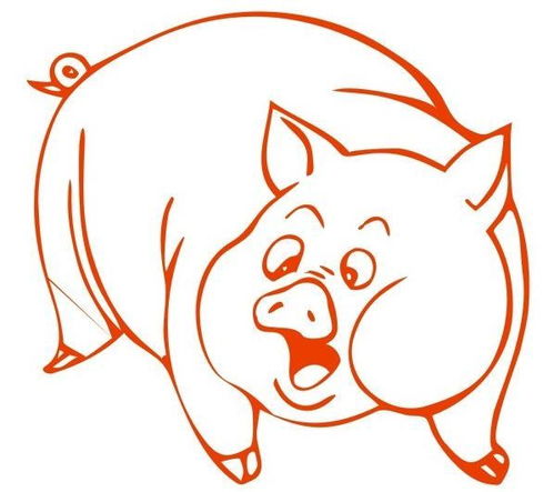 属猪的人婚姻和命运如何，有哪些特点和影响？