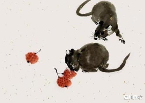 属鼠6月出生运势如何，具体命运分析是什么？