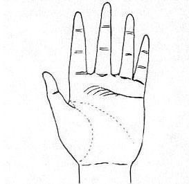 一、  腰眼：生理结构与文化意象