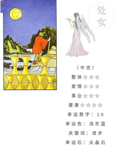 探究背景与目的
