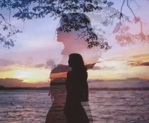 研究背景与意义