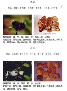 十二生肖和十二时辰之间有何关联，嫩讲述它们的故事吗？