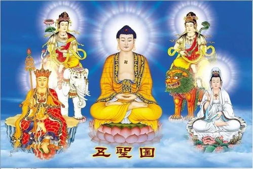 理性观照与学术框架