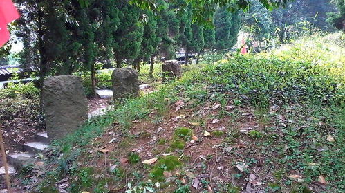 2. 墓地空间环境的修缮与地气维护