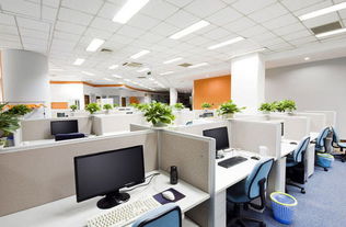 1.2 背靠之需：稳定感的来源与不利因素规避