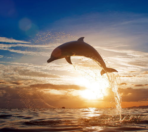 人类潜能的二元性：创造与毁灭的博弈