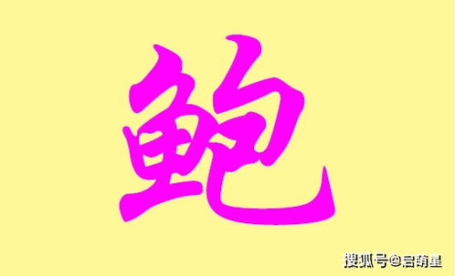 鲍姓女孩起名的注意事项（顺便唠嗑一下）