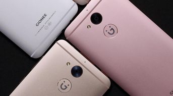 如何通过网上选号工具准确预测移动手机号码的吉凶？