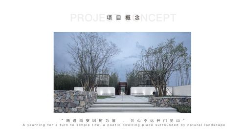 B. 随机加入乱码与表情符号，让人抓狂：