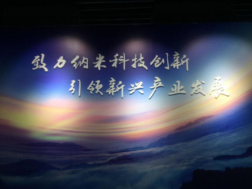 能量恢复与个体差异的显现