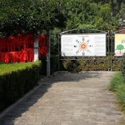 文峰小区有什么好玩的？大概就是“堪人”吧 (以及想象)