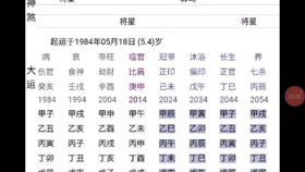 案例三：庚申年壬午月辛巳日丙申时（男） vs. 癸丑年丙辰月壬寅日辛卯时（女）