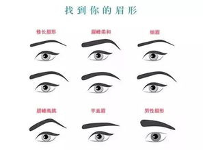 4.1 眉形选择要点