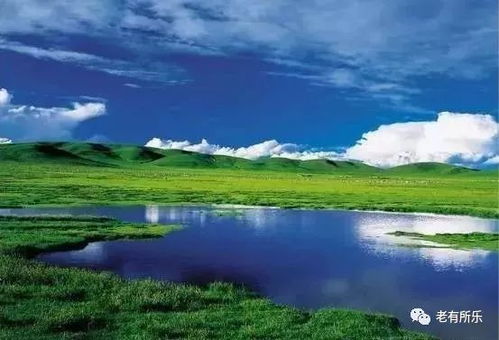 案例四：天价餐饮的“宰你没商量”——吃不起饭的节奏