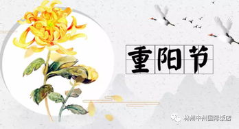 惯与吉祥度的那些事儿 (其实我也不太懂)