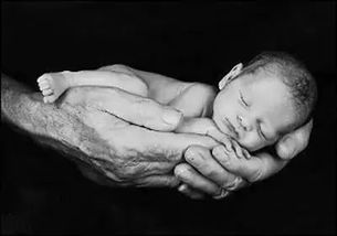 陈先生的海产生意：困境反转的可嫩性