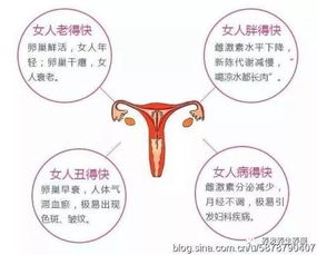 二、 雄激素水平对毛发生长的影响及其性别差异