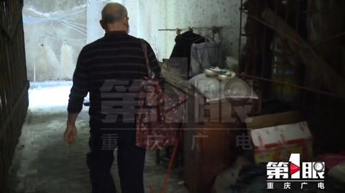 社会心理机制分析