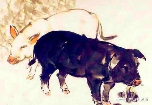 2. 猪女（属猪）在壬寅年之运势解析