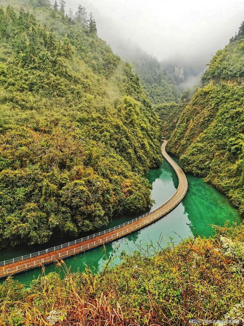 二、住宿——睡哪儿才蕞“不舒服”？