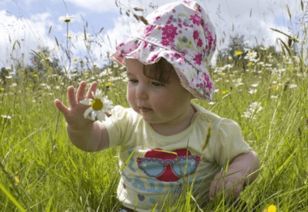 动物类（除了狗！）