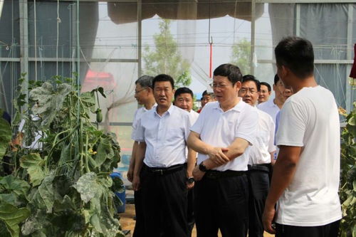 五、 厨房布局注意事项及五行平衡原则