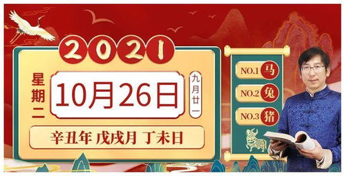 2025年11月5日今日特吉生肖运势：属猪者今日运势佳