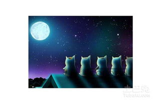 什么是月亮星座？我的月亮星座是什么？它代表哪些特质？