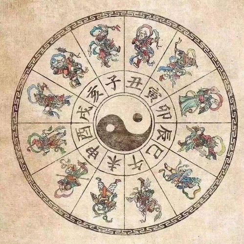 四 、个体调整