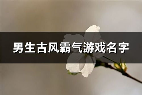 有没有霸气的古风男名字大全推荐？
