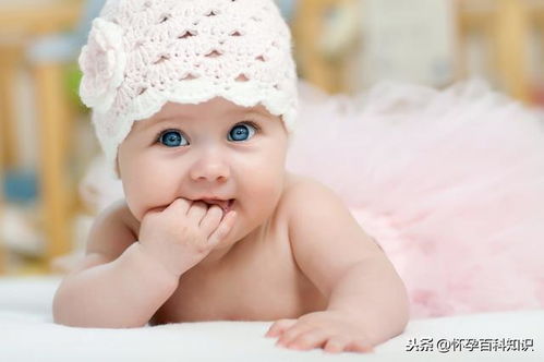 为什么鱼豆米这么神奇？简直不可思议!